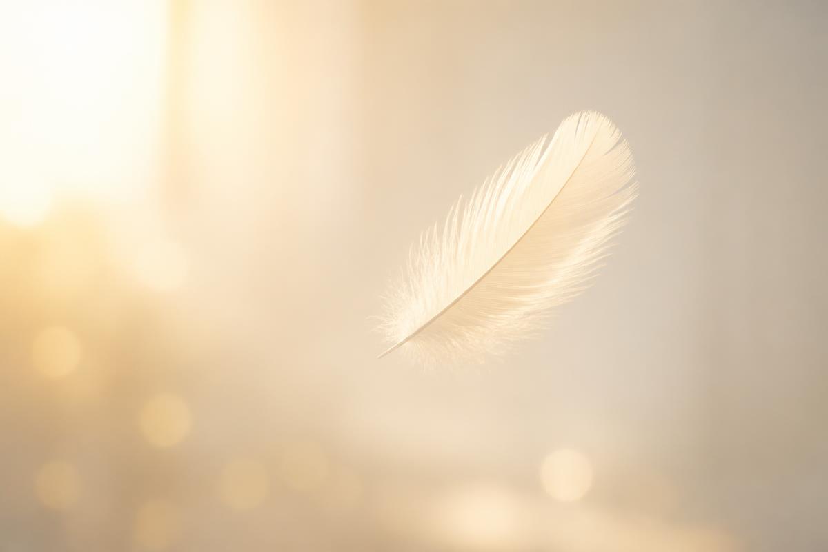 A single pale feather drifting in warm golden light